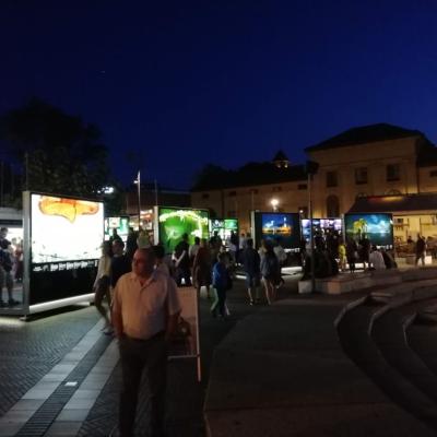 Img 20190815 202702