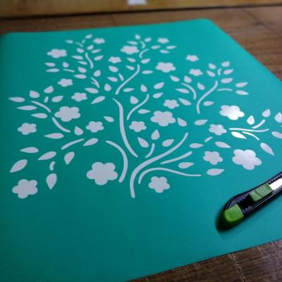 Img 20210809 122541